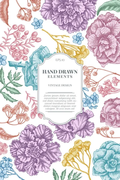 Diseño de la tarjeta con flor de cera pastel, no me olvides flor, tansy, ardisia, brassica, col decorativa — Vector de stock