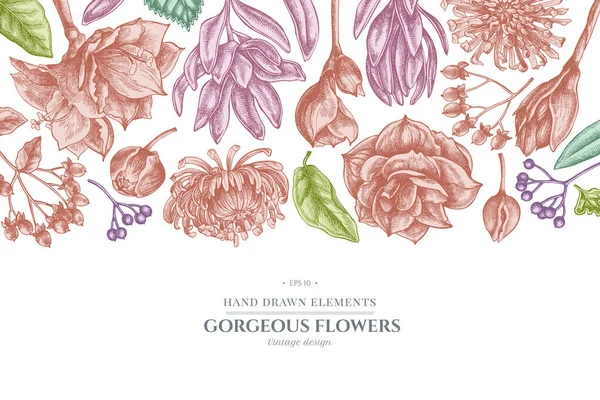 Kwiatowy wzór z pastelowym viburnum, hypericum, tulipan, aster, leucadendron, amaryllis — Wektor stockowy