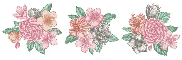 Bukiet kwiatów pastelowych hibiskus, kwiaty śliwki, kwiaty brzoskwini, kwiaty sakura, kwiaty magnolii, camellia japonica — Wektor stockowy