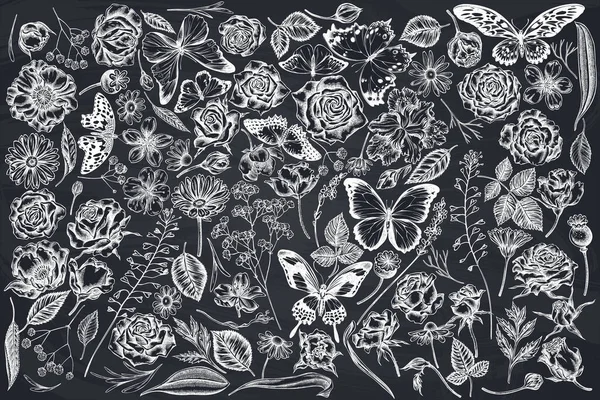 Vector el çizimi çoban çantası, tebeşir, heather, iris japonica, sakura, glula, papatya, badem, haşhaş çiçeği, calendula, menelaus blue morpho, mavi morpho, limon kelebeği, kırmızı