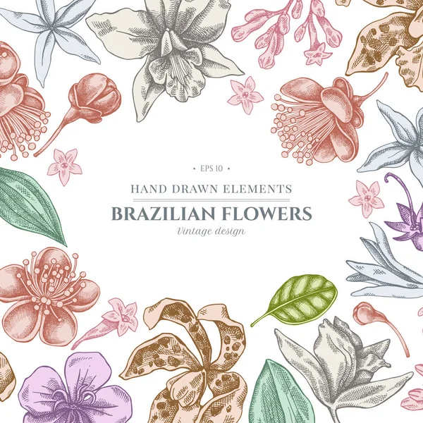 Blommig design med pastell laelia, feijoa blommor, härlighet buske, papilio torquatus, cinchona, cattleya aclandiae — Stock vektor