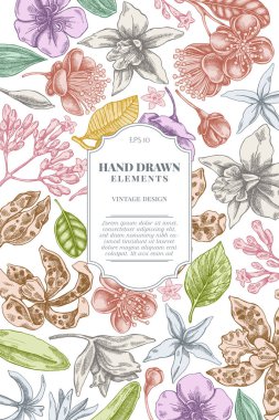 Pastel laelia, feijoa çiçekleri, görkemli çalılık, papilio torquatus, cinchona, cattleya aclandiae ile kart tasarımı