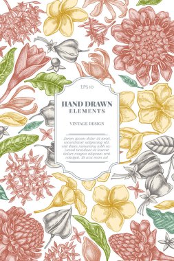 Pastel plumeria, allamanda, clerodendrum, champak, etlingera, ixora ile kart tasarımı