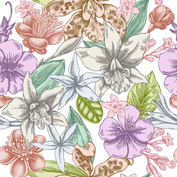 Seamless pattern with hand drawn pastel laelia, feijoa flowers, glory bush, papilio torquatus, cinchona, cattleya aclandiae — Stock Vector