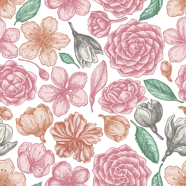 Płynny wzór z ręcznie rysowane pastelowe hibiskus, kwiaty śliwki, brzoskwiniowe kwiaty, sakura kwiaty, kwiaty magnolii, camellia japonica — Wektor stockowy