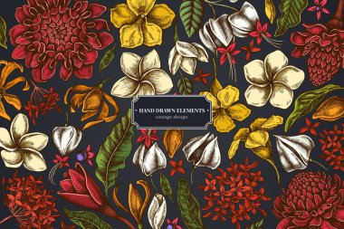 Plumeria, allamanda, clerodendrum, champak, etlingera, ixora ile koyu arkaplan üzerine çiçek tasarımı