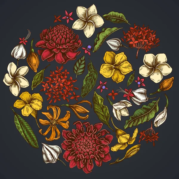Круглий квітковий дизайн на темному фоні з плюшевими, алемандою, клермодендромом, чакамом, елінгерою, ікорою — стоковий вектор