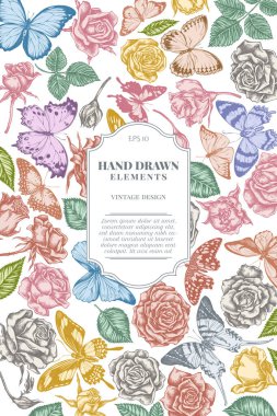 Pastel menelaus mavi morpho, limon kelebeği, kırmızı dantel, Afrika devi kırlangıç kuyruğu, alcides agathyrsus, wallaces altın kuş kanadı, mor benekli kırlangıç kuyruğu, orman anası