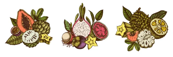 Дизайн композиції з кольорової папайї, гуави, фруктів пристрасті, морської зірки, дуріана, рамбутану, яхти, джекфрута, цукрового яблука, саунду, мангосту — стоковий вектор