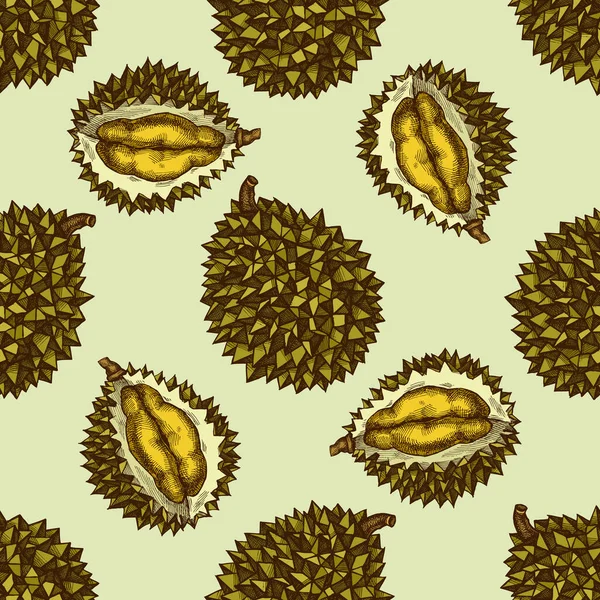 Patrón sin costuras con durian dibujado a mano — Vector de stock