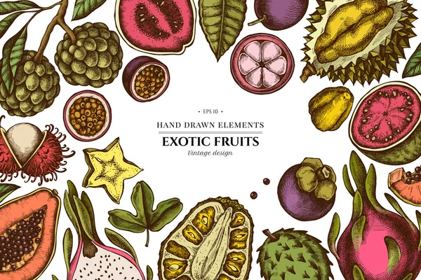 Elementi colorati di design con papaia, guava, frutto della passione, starfruit, durian, rambutan, pitaya, jackfruit, zucchero-mela, soursop, mangostano — Vettoriale Stock