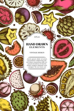 Renkli papaya, guava, çarkıfelek meyvesi, yıldız meyvesi, durian, rambutan, pitaya, jackfruit, şeker-apple, soursop, mangosteen