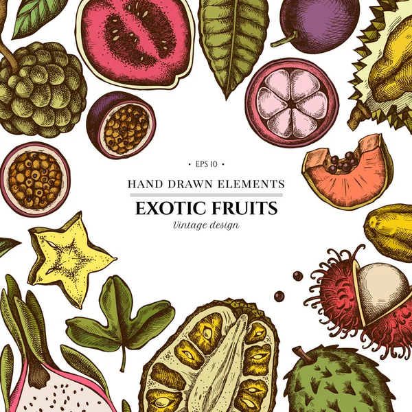 Elementos de color de diseño con papaya, guayaba, maracuyá, fruta de la estrella, durian, rambután, pitaya, jaca, azúcar-manzana, soursop, mangostán — Vector de stock