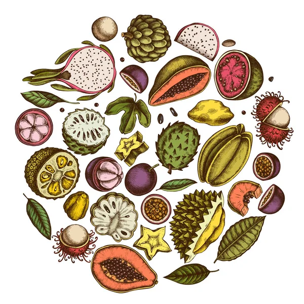 Projeto redondo com mamão colorido, goiaba, maracujá, starfruit, durian, rambutan, pitaya, jaca, açúcar-maçã, graviola, mangostão —  Vetores de Stock