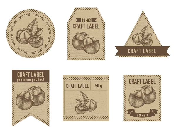 Craft labels vintage design with illustration of mangosteen — Wektor stockowy