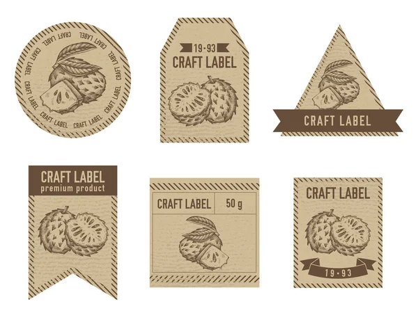 Craft labels vintage design with illustration of soursop — Vettoriale Stock
