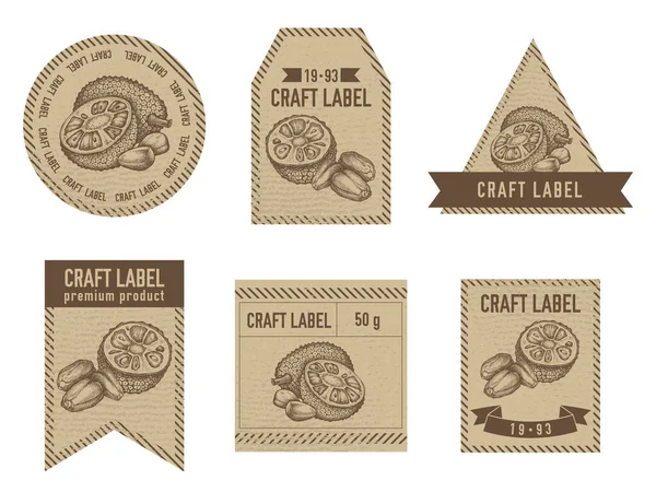 Craft labels vintage design with illustration of jackfruit — Stock Vector