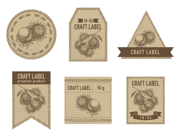 Craft labels vintage design with illustration of rambutan — Vettoriale Stock