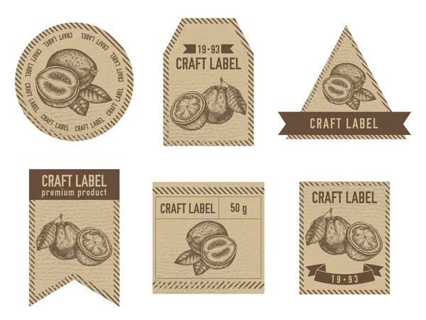 Craft labels vintage design with illustration of guava — Vettoriale Stock