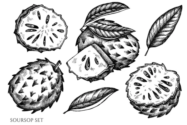 Set vettoriale di soursop bianco e nero disegnato a mano — Vettoriale Stock