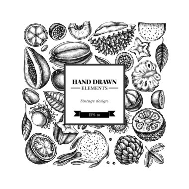 Siyah ve beyaz papaya, guava, tutku meyvesi, yıldız meyvesi, durian, rambutan, pitaya, jackfruit, şeker-apple, soursop, mangosteen