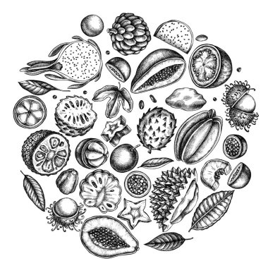 Siyah beyaz papaya, guava, tutku meyvesi, yıldız meyvesi, durian, rambutan, pitaya, jackfruit, şeker-apple, soursop, mangosteen
