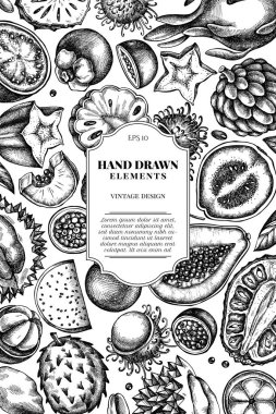 Siyah beyaz papaya, guava, tutku meyvesi, yıldız meyvesi, durian, rambutan, pitaya, jackfruit, şeker-apple, soursop, mangosteen