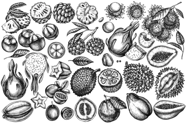 Vector set of hand drawn black and white papaya, guava, passion fruit, starfruit, durian, rambutan, pitaya, jackfruit, sugar-apple, soursop, mangosteen — Stock Vector