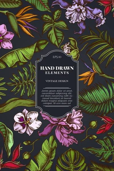 Diseño de tarjetas sobre fondo oscuro con monstera, hojas de palma de plátano, strelitzia, heliconia, hojas de palma tropical, orquídea — Vector de stock