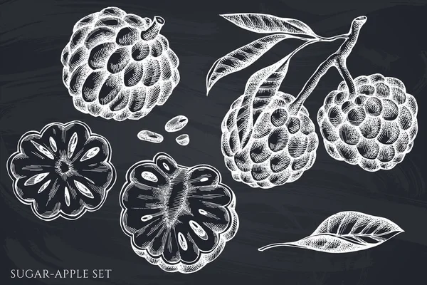Set vettoriale di gesso disegnato a mano zucchero-mela — Vettoriale Stock