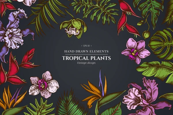 Conception florale sur fond sombre avec monstère, feuilles de palmier bananier, strelitzia, héliconie, feuilles de palmier tropical, orchidée — Image vectorielle