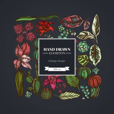 Kare çiçek desenli koyu arkaplan üzerinde incir, iresine, kalanchoe, calathea, guzmania, kaktüs