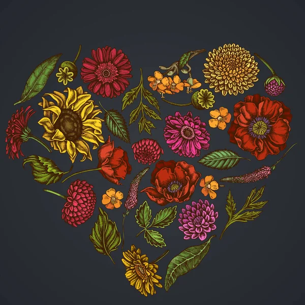 心花图案，深色背景，有罂粟花、芙蓉、葵花、米草、大丽花、维罗妮卡 — 图库矢量图片