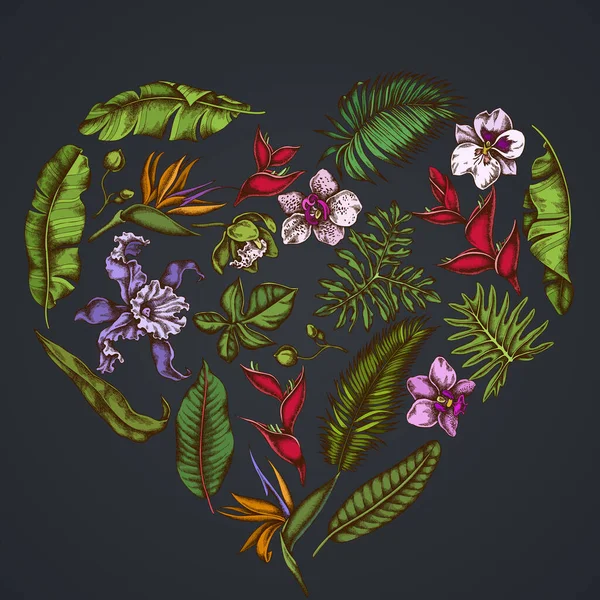 红心花图案，深色背景，有海葵、香蕉棕榈叶、紫锥菊、日光、热带棕榈叶、兰花 — 图库矢量图片