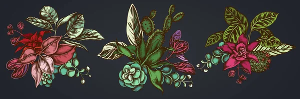 Квітковий букет з різнокольорового фікуса, ірису, каланхое, калатеї, гуманії, кактуса — стоковий вектор