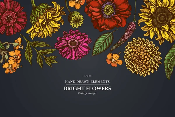 Haşhaş çiçeği, gerbera, ayçiçeği, süt tohumu, yıldız çiçeği, Veronica