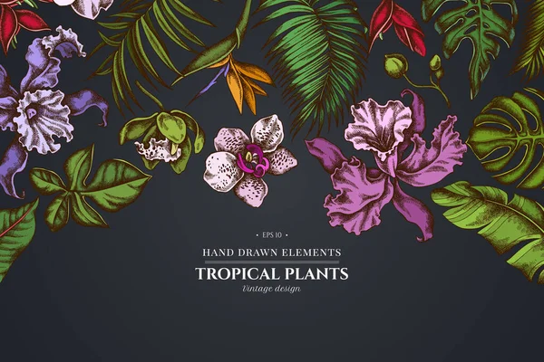 Bloemen ontwerp op donkere achtergrond met monstera, bananenpalmbladeren, strelitzia, heliconia, tropische palmbladeren, orchidee — Stockvector