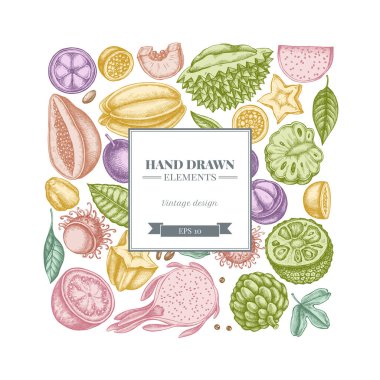 Pastel papaya, guava, tutku meyvesi, yıldız meyvesi, durian, rambutan, pitaya, jackfruit, şeker-apple, soursop, mangosteen