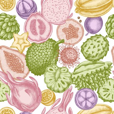 El yapımı pastel papaya, guava, tutku meyvesi, yıldız meyvesi, durian, rambutan, pitaya, jackfruit, şeker-apple, soursop, mangosteen