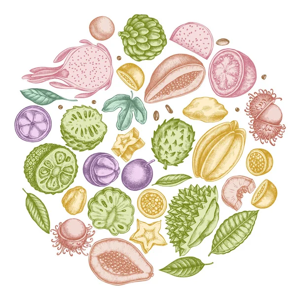 Круглий дизайн з пастельною папайєю, гуавою, фруктами пристрасті, морською зіркою, дуріаном, рамбутаном, пітайєю, джекфрутом, цукровим яблуком, сажею, мангосту — стоковий вектор