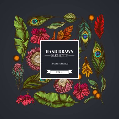 Muz palmiyesi yaprakları, amber çiçeği, solanum, bromeliad, tavus kuşu tüyleri, protea