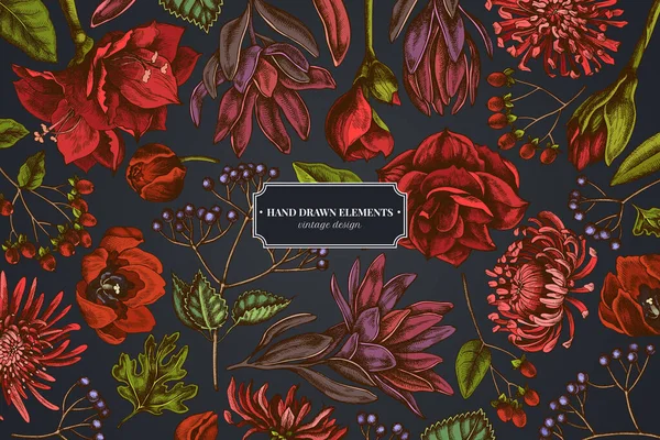 ビブラム、ハイピクム、チューリップ、ポスター、 leucadendron 、アマリリスと暗い背景の花のデザイン — ストックベクタ