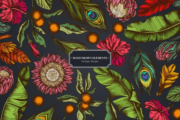 バナナの葉、ハイビスカス、ソラナム、ブロマイド、クジャクの羽、プロティーと暗い背景の花のデザイン — ストックベクタ