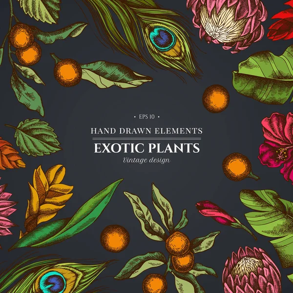 Diseño floral sobre fondo oscuro con hojas de palmera de plátano, hibisco, solano, bromelias, plumas de pavo real, protea — Vector de stock