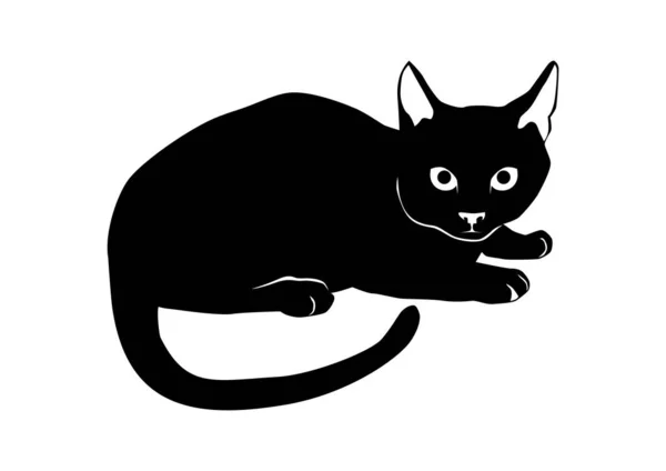 Gatto Bugiardo Silhouette Bianco Nero Gatto Sdraiato Vettore Piatto — Vettoriale Stock