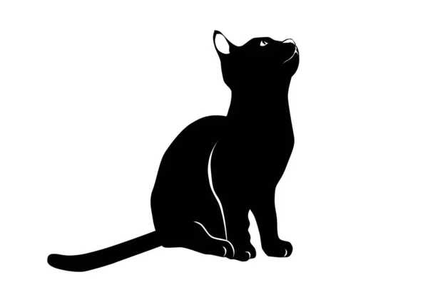 Gato Sentado Silueta Blanca Negra Gato Sentado Vector Plano — Vector de stock