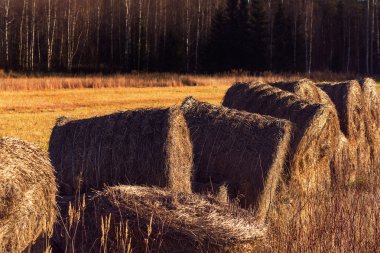 Sheaves saman Finlandiya