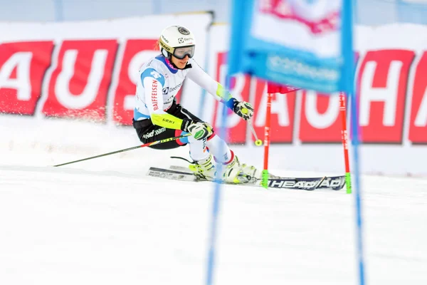 Марен Wiesler (Ger) роблять тестовий запуск на курсі Fis Ski світу з футболу — стокове фото