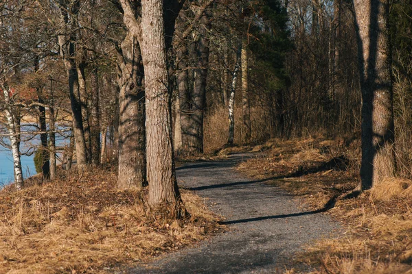 Sentier de voyage sinueux au chenal au printemps — Photo