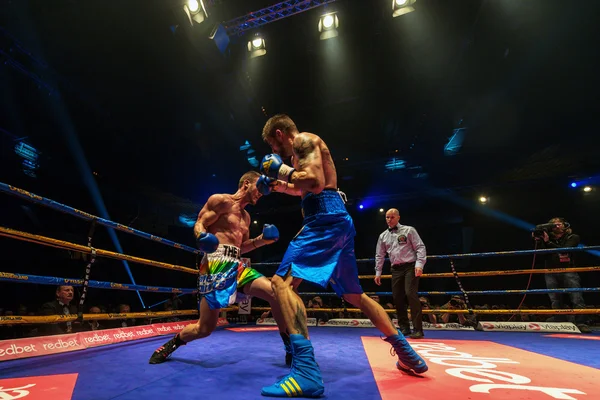 IBO Title boxing match entre Erik Skoglund (SWE) e Ryno Lieb — Fotografia de Stock